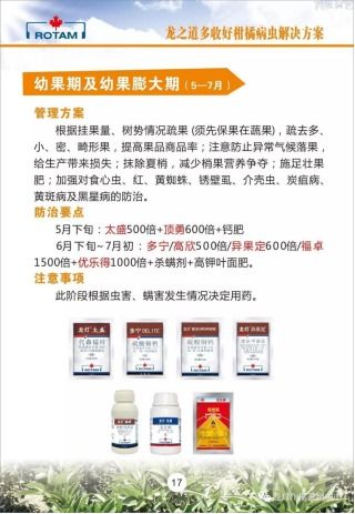 龍燈化學 深耕農業，以技術推廣服務為農賦能